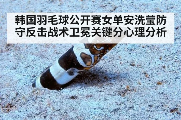 韩国羽毛球公开赛女单安洗莹防守反击战术卫冕关键分心理分析